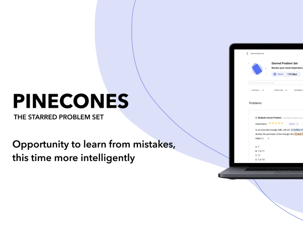 PineCones, Online starred problem set